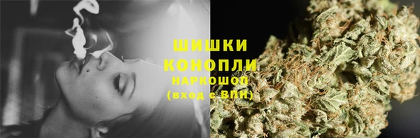 трава Аркадак