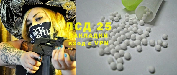 PSILOCYBIN Алзамай